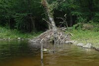 Former Dam Site