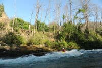 Armstrong Rapid