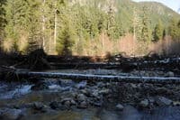 Braided Channels