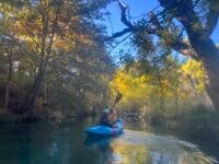 Beautiful Riparian area along the creek