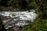 Entering the Gorge
