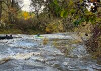Blackwell Rapid