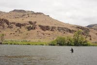 Fly fishing Near Dixon Camp