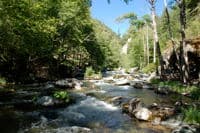 River at Baseflow