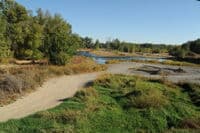 Access Out to the Gravel Bar at Zillah