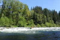 Elk Rapid