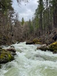 EF SF Salmon River