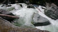 Major Rapid #4