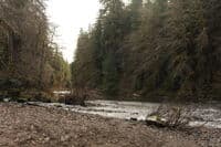 Hyas Creek Confluence
