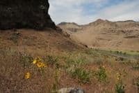 Looking Downriver Near Dixon Camp