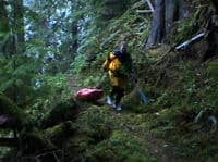 The Hike In