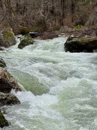 EF SF Salmon River