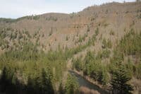 Klickitat River View