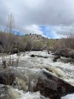 Dam left (700cfs)