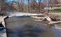 Red Cedar at 870 CFS