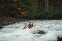 Rafting Through Toilet Bowl