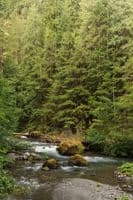 River View Below Gold Creek