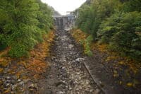 Dewatered River Channel Downstream of Gorge Dam
