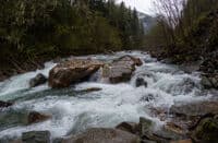 Bottom rapid, go right
