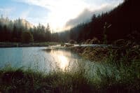 Scott River at Indian Scotty