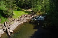 View Downstream