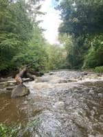 Most difficult rapid after Erect Rd.