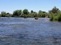 Robinson's Riffle 