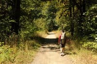 Hiking the Old Forest Road 2610