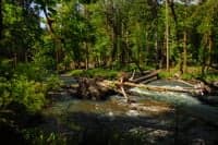 Channl-Spanning Wood
