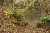 Access at North Fork Confluence