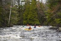 kayakers