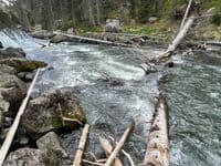 River wide wood