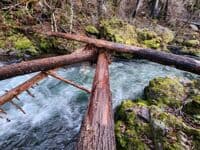 Log jam at Scorpion Creek