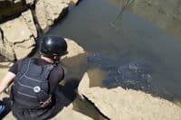 Fish stranding