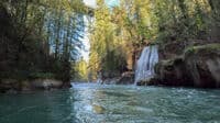 Paradise Falls