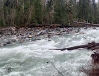 River-wide Log