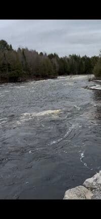 bridge rapid 