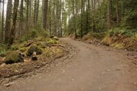 Looking Up The Road Towards Damaged Site