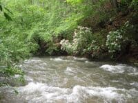 Upper Pedlar
