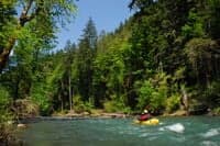Elwha River Near Old Campground
