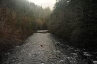 The View Looking Upstream from the Forest Road 2918 Bridge