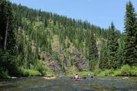 The Forested Upper St. Joe