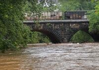 Railroad Bridge Strainer (May 2026)