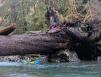 Land of the giants
