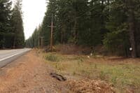 Hwy. 141 Mile 17.3 Looking North