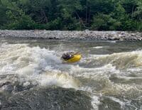 Carving Roostertail