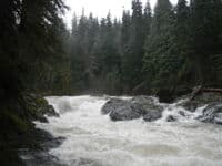 Salmon Cascade at High Water