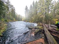 Large log jam near takeout