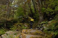 Drum-Beater Access Trail