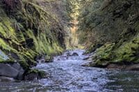 Upper run